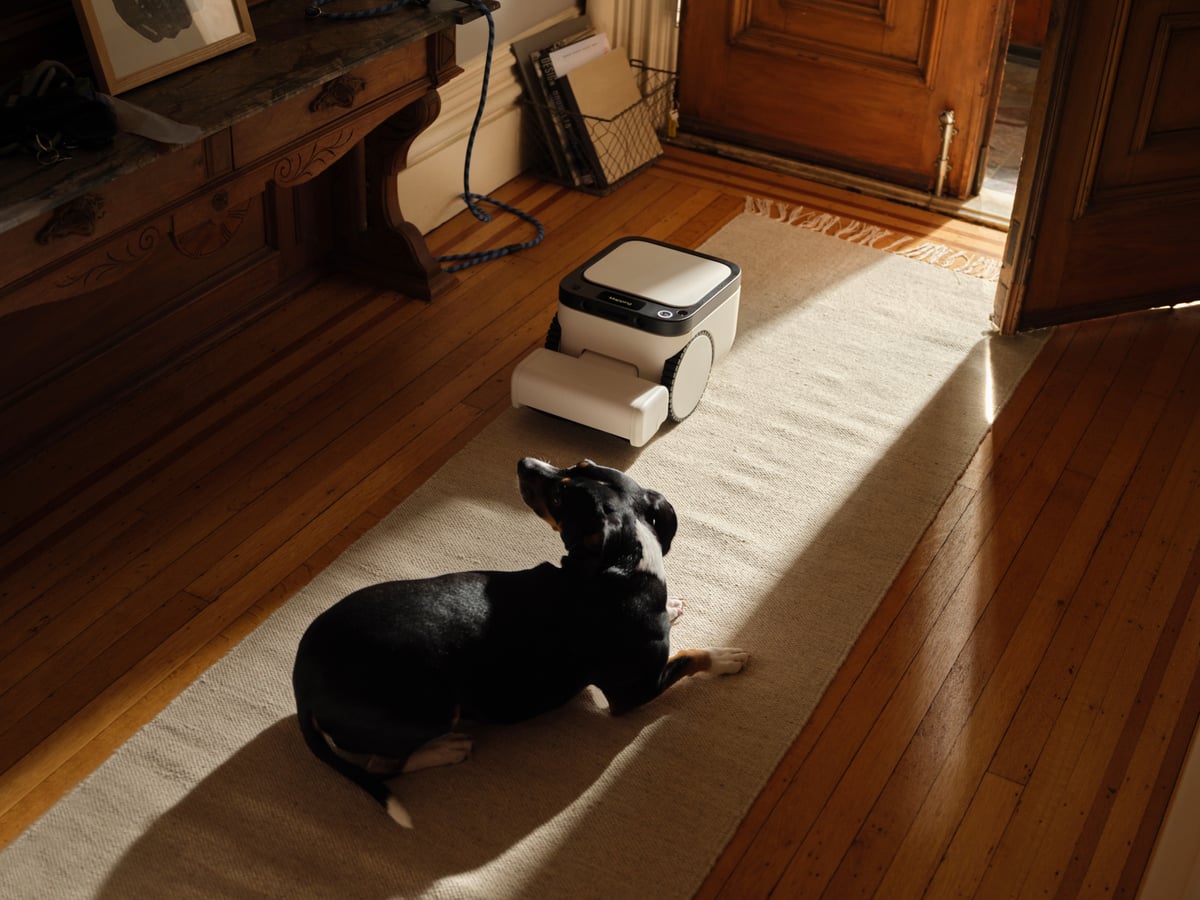A dog lying on a hallway runner watching the Matic, whose display reads "Mapping"