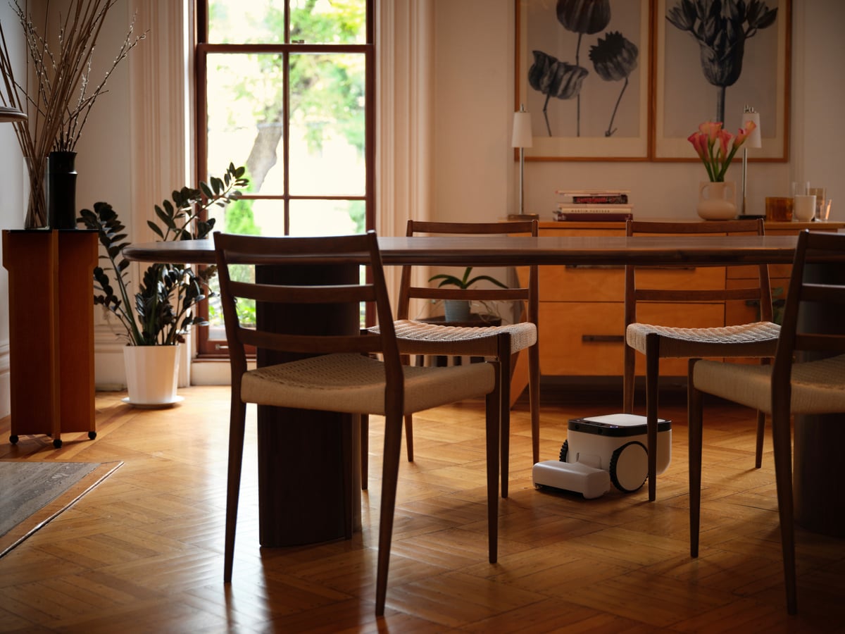 The Matic parked between the legs of a dining chair, standing roughly as tall as the chair's lower rail