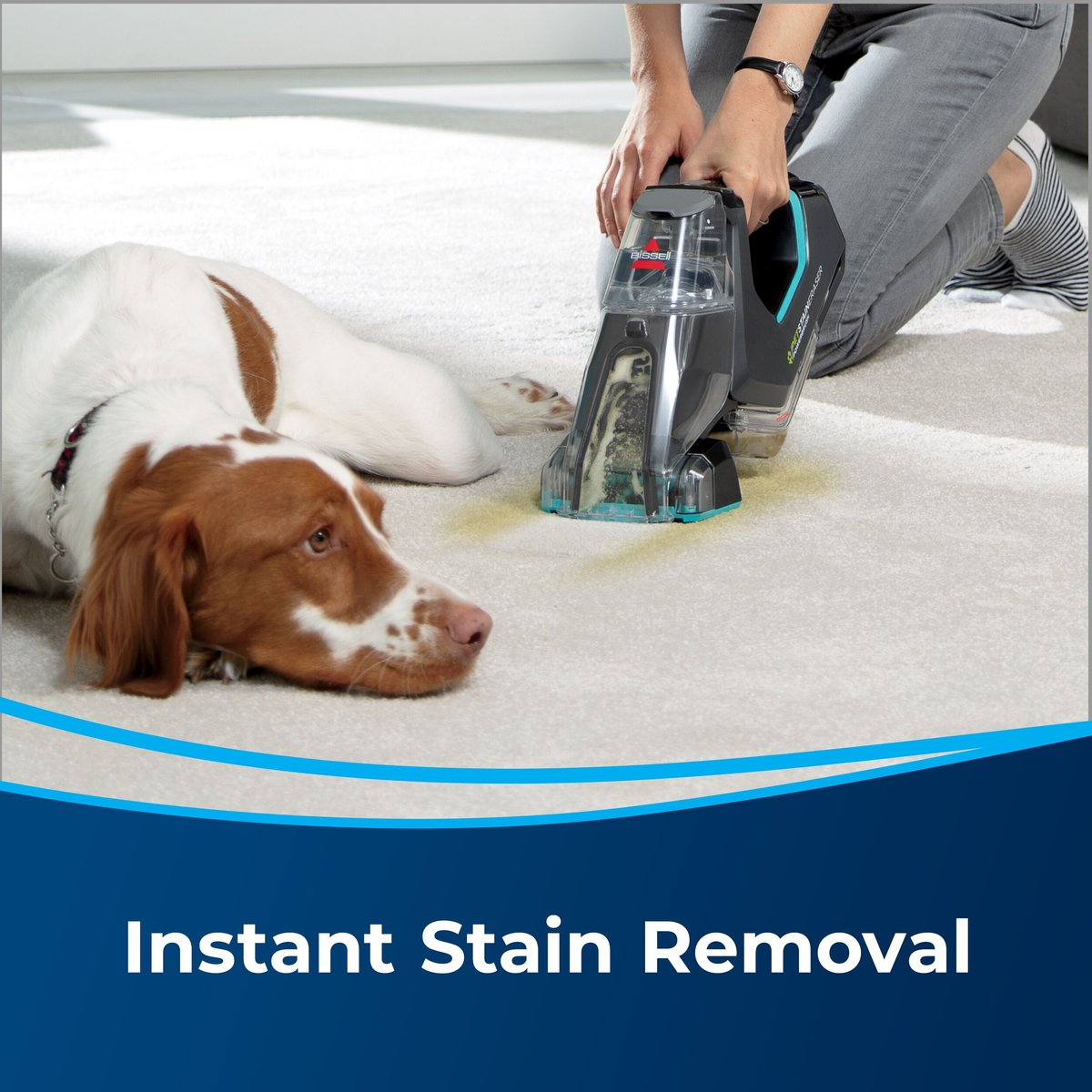 Bissell Pet Stain Eraser PowerBrush